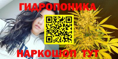 прущая мука Заволжье