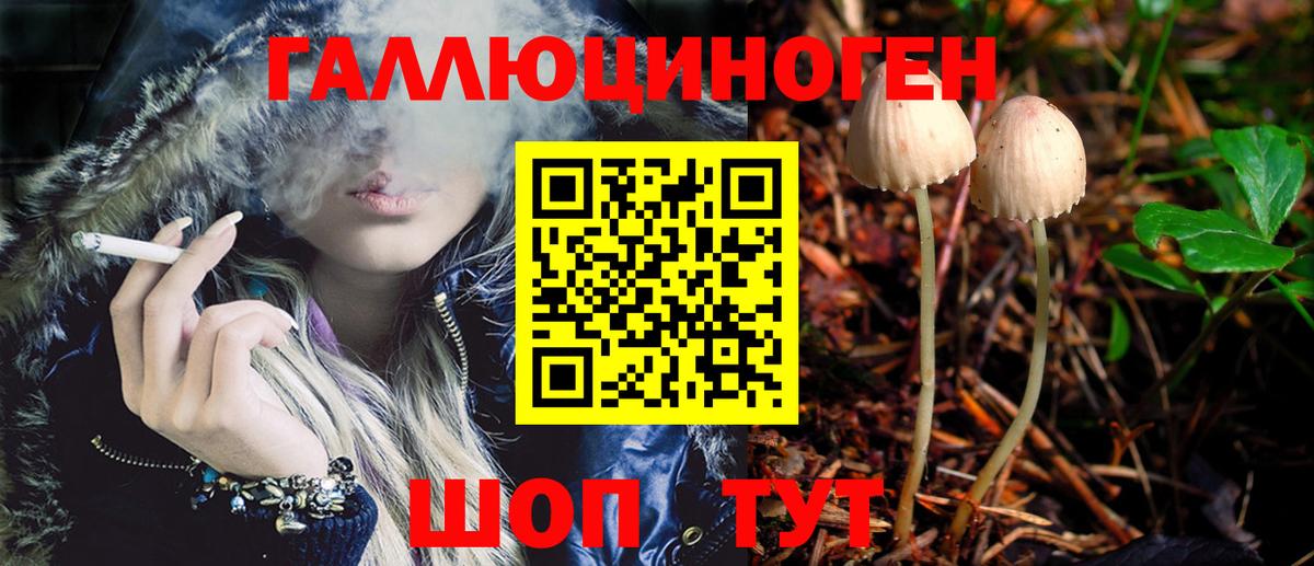 где найти   Вход с VPN  Минусинск  Псилоцибиновые грибы Psilocybe 
