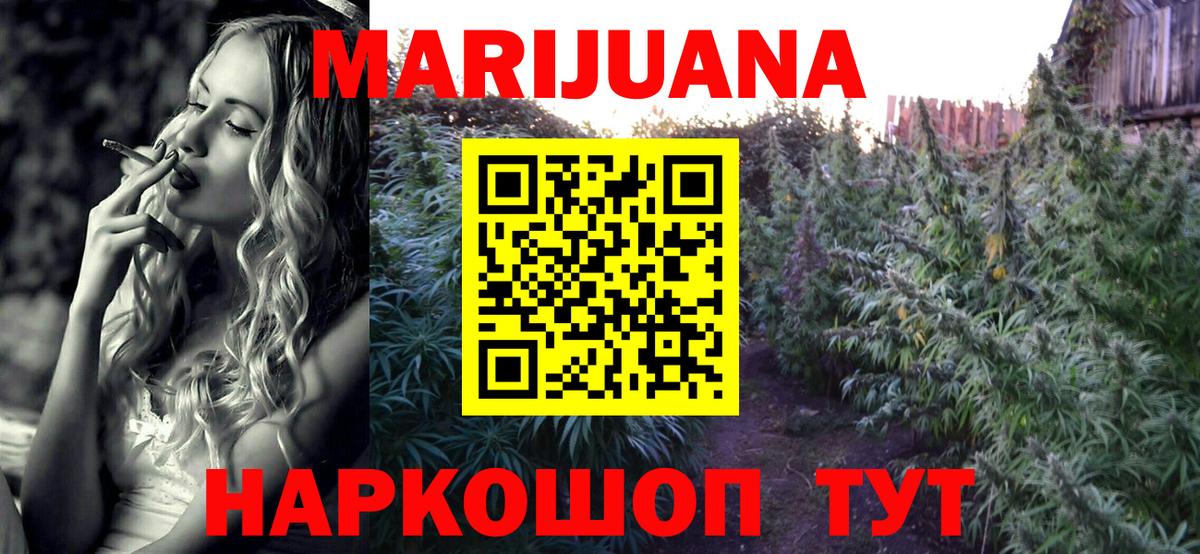 Каннабис сатива Минусинск